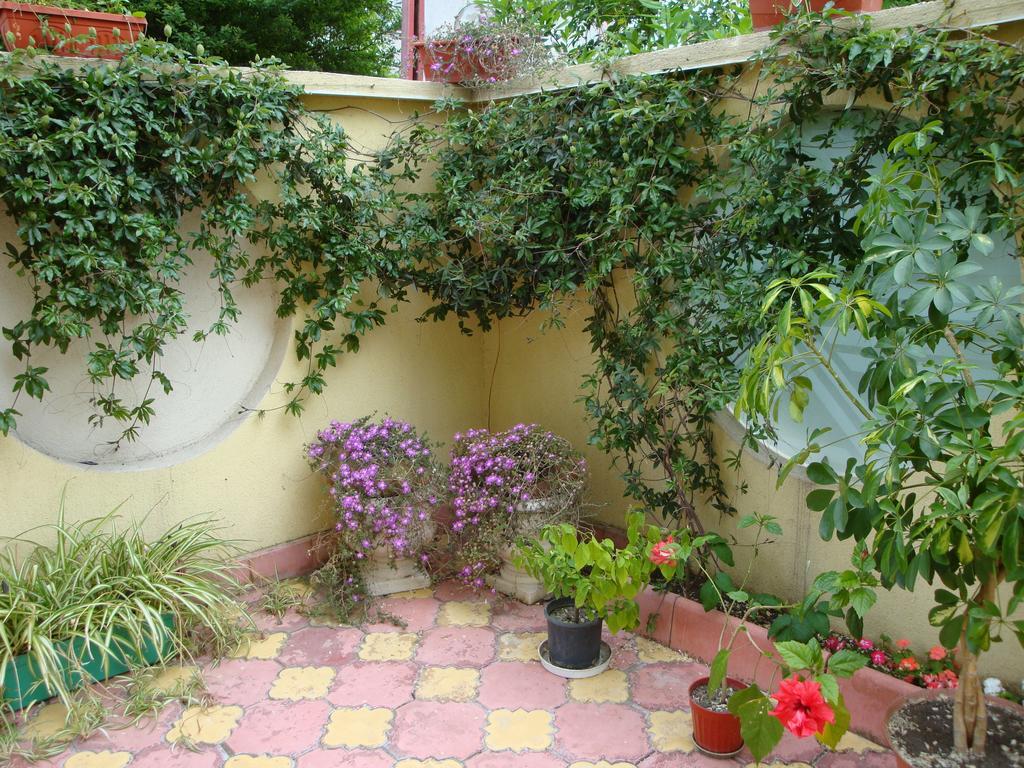 Stela Guest House Царево Номер фото